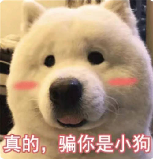 西人馬2021春季校園招聘開啟，優(yōu)秀的你快看向這里