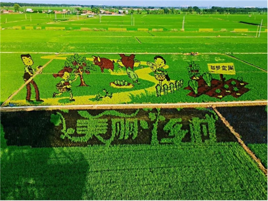 加速新型農(nóng)業(yè)發(fā)展，華為云助力沈陽稻夢空間建設(shè)數(shù)字化產(chǎn)業(yè)園