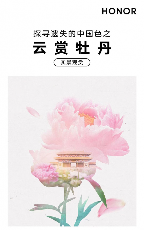 探尋遺失的中國(guó)色走進(jìn)洛陽(yáng) 榮耀V40系列還原千年非遺真彩