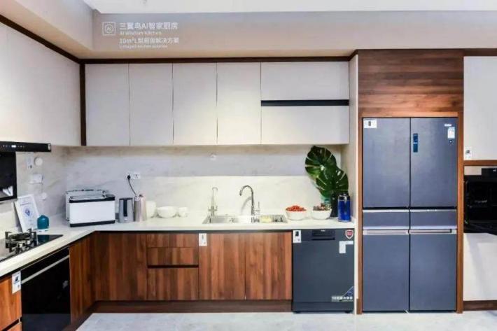 2021冰箱市場(chǎng)：高端、場(chǎng)景成行業(yè)兩大“新賽點(diǎn)”