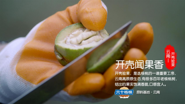 養(yǎng)元飲品六個核桃2430這產(chǎn)品怎么樣？營養(yǎng)專家來安利了