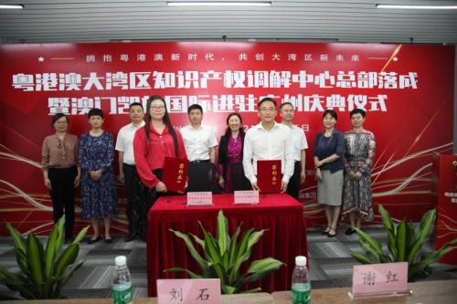 澳門凱旋國際集團總裁王愛民：共創(chuàng)粵港澳大灣區(qū)知識產(chǎn)權新未來