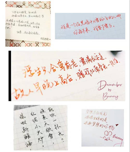 樂學(xué)培優(yōu)