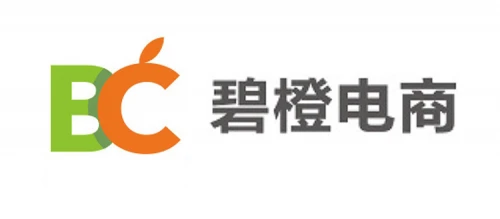 2021Q1中國十大電商代運(yùn)營解析