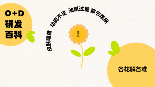 C+D Nosh維它輕食，打造益生菌一口餅新體驗(yàn)