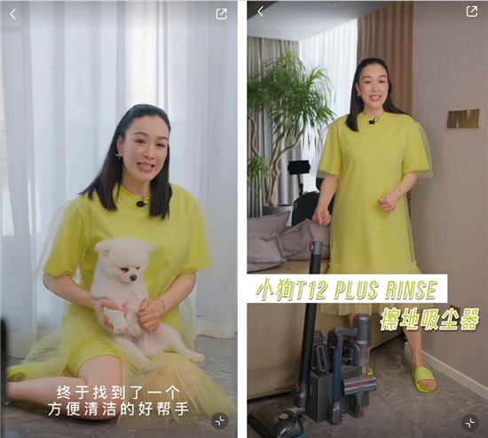 養(yǎng)寵物總掉毛，家庭清潔有煩惱？鐘麗緹推薦這款清潔神器