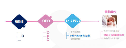 合生元派星雙重保護力呵護寶寶成長，用實力彌補喂養(yǎng)不足