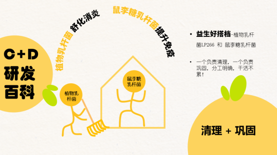 “益生元+益生菌”雙配方，C+D Nosh一口餅刷爆達人下午茶