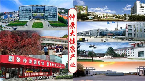 仲景之光普照醫(yī)圣故里——仲景宛西制藥守正創(chuàng)新高質(zhì)量發(fā)展紀實