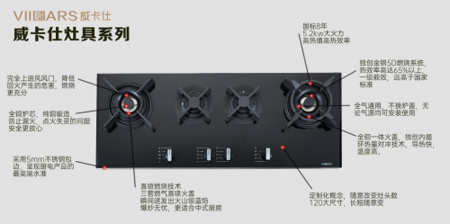 威卡仕金剛5D定制灶具，頂級(jí)配置，“灶”就非凡