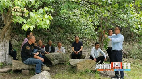南陽(yáng)新聞周刊