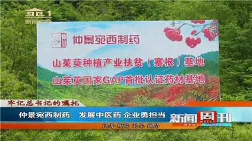 南陽(yáng)新聞周刊