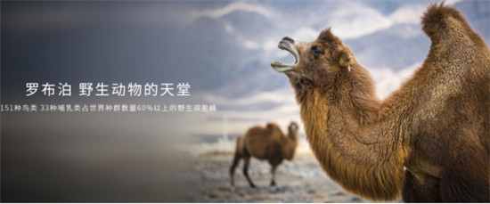 護(hù)航國(guó)家任務(wù) 長(zhǎng)城炮護(hù)航2021羅布泊科考正式出征！