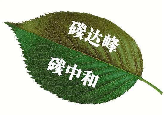 發(fā)揮數(shù)據(jù)最大價(jià)值，打造最強(qiáng)云底座 華為云助力“碳中和”賦能生態(tài)文明