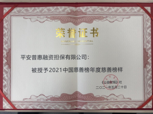 多角度、深層次履行社會(huì)責(zé)任，平安普惠榮獲“年度慈善榜樣”