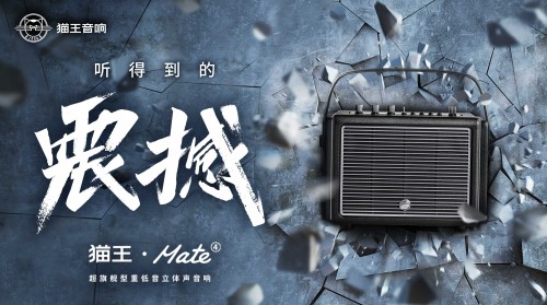 國潮品牌貓王音響攜手胡海泉，推出震撼之聲貓王·Mate系列
