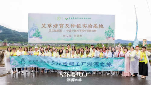 艾艾貼：526透明工廠溯源之旅，感受艾灸文化，體驗養(yǎng)生國潮