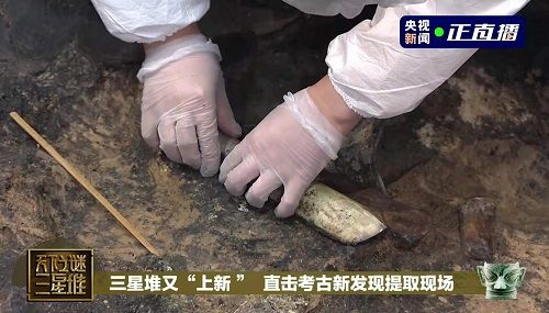 助力三星堆文物存儲，海爾冰箱做了什么？