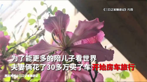 西瓜視頻創(chuàng)作者「三口之家蝸游記」走紅網(wǎng)絡(luò)，六一上演現(xiàn)實(shí)版《飛屋環(huán)游記》