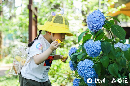 讓教育更有意義！大力智能把課堂搬進(jìn)了大自然