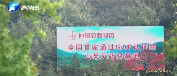 河南都市頻道專(zhuān)訪(fǎng)仲景宛西制藥孫鋒：用現(xiàn)代科技提升中醫(yī)藥制造