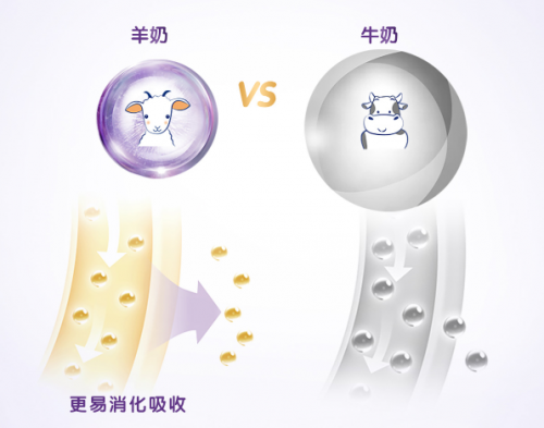 可貝思羊奶粉驚現(xiàn)育兒亮點？營養(yǎng)好吸收才是王道