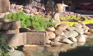泊心云舍·文苑，一座行走的納西文化民俗博物館