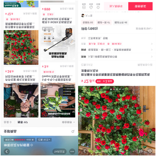 靠“沾花惹草”養(yǎng)家糊口，花卉達(dá)人坤哥在抖音電商用知識圈粉600萬