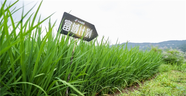 抖音電商“富域計(jì)劃”攜三農(nóng)達(dá)人助農(nóng)培訓(xùn)，助力鄉(xiāng)村振興