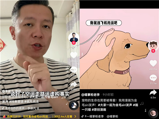 金毛siri托運(yùn)中死亡，抖音網(wǎng)友發(fā)聲呼吁保護(hù)動(dòng)物尊重生命