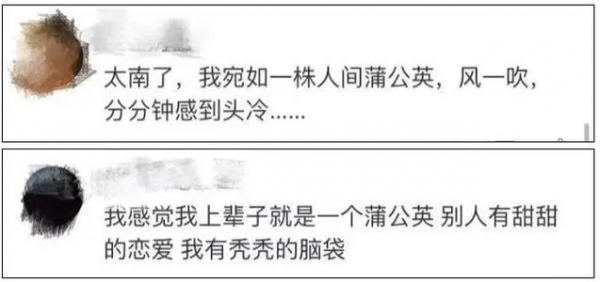 拒絕成為2.5億分之一，關(guān)注雍禾植發(fā)赴港IPO