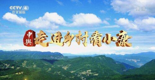 央視關注微拍堂商家致富奔小康