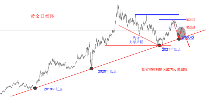 金十訪談間：7月22日領(lǐng)峰里昂老師，聚焦歐美縮表！