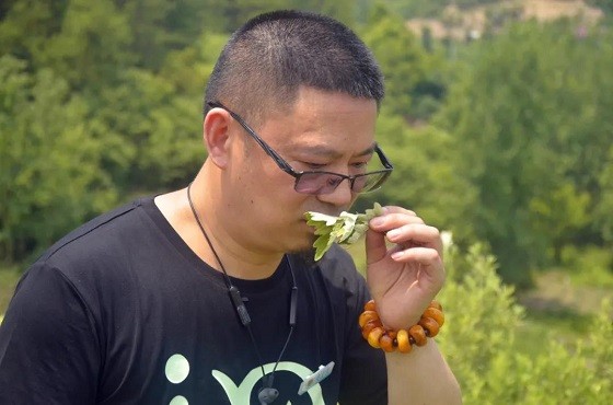 灸大夫捐贈價值300萬中醫(yī)艾灸設備，馳援河南災后防疫！