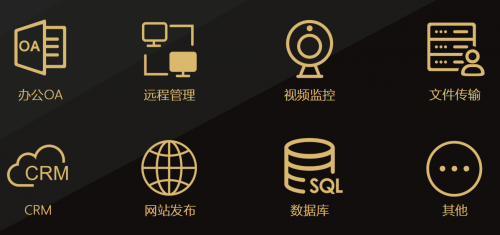 無需公網(wǎng)IP，花生殼3步實現(xiàn)服裝進(jìn)銷存ERP遠(yuǎn)程外網(wǎng)訪問