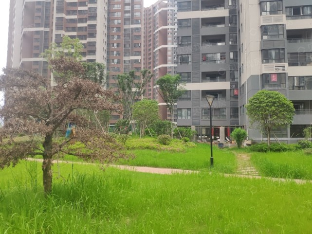 新星宇控股：人性化家居細(xì)節(jié)，盛放生活美好