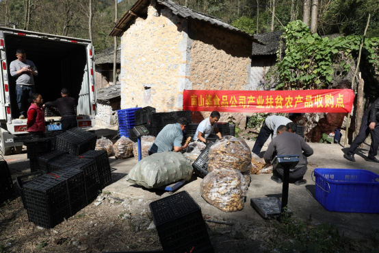 薇婭新華社強強聯(lián)手，助力南山婆成新一代貴州美食代表