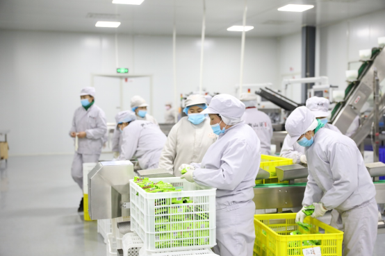 薇婭新華社強強聯(lián)手，助力南山婆成新一代貴州美食代表