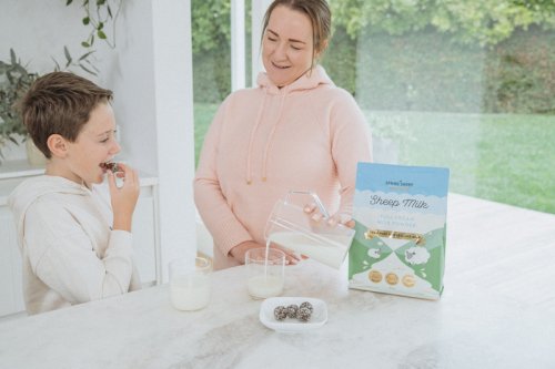 世界乳品新未來！Spring Sheep春綿乳業(yè)持續(xù)引領綿羊奶新格局！
