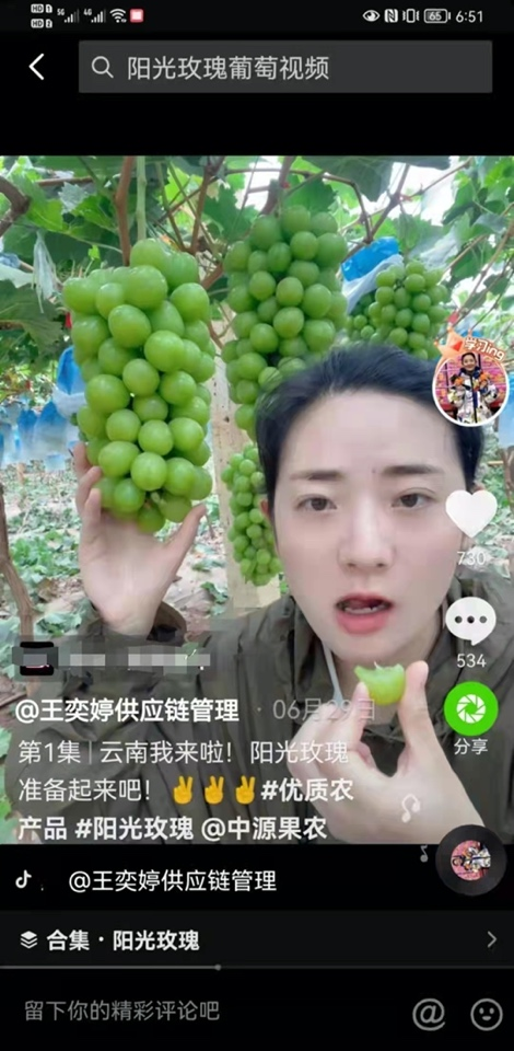 河南姑娘抖音電商創(chuàng)業(yè)賣水果，帶粉絲跑遍全國原產(chǎn)地