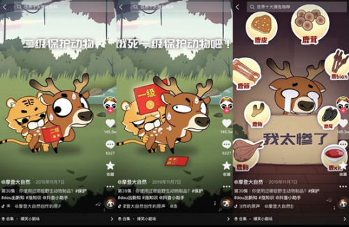 453萬(wàn)人在抖音跟他學(xué)知識(shí)，靠科普動(dòng)物保護(hù)登上學(xué)習(xí)強(qiáng)國(guó)