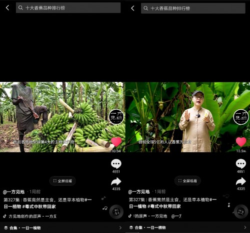 香蕉為什么向上生長？她在抖音為440萬人科普植物的奧秘