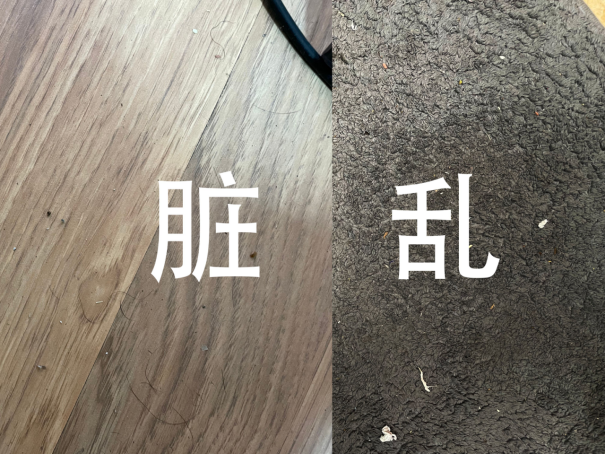 一文告訴你真懶人是怎么用掃地機的，Trifo Lucy Pet掃地機器人評測