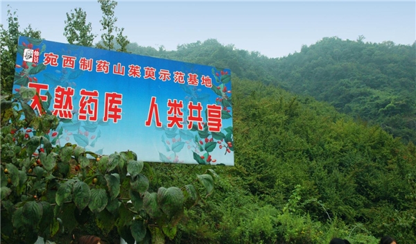 孫鋒：深耕“藥材好，藥才好”價(jià)值理念，釋放“中華醫(yī)圣”經(jīng)典活力