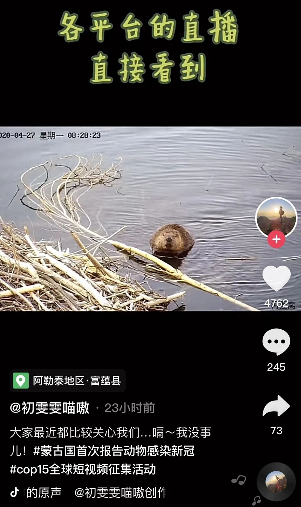 90后女孩大學(xué)畢業(yè)返鄉(xiāng)與野生動(dòng)物為伴，在抖音獲贊百萬(wàn)