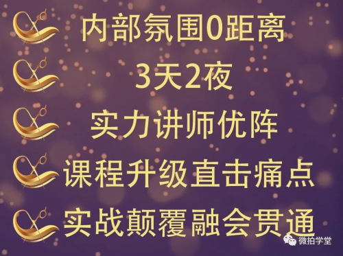 微拍堂總部游學即將開課，教您做運營