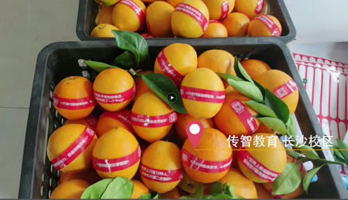 傳智教育1024程序員節(jié)，全國(guó)各校區(qū)“橙心誠(chéng)意”邀你一起嗨