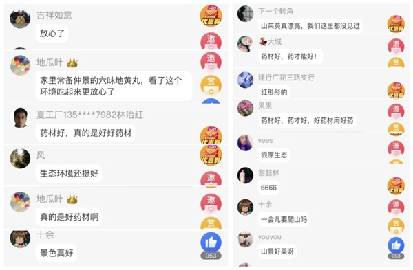 攜手齊魯頻道、同方藥業(yè)，仲景宛西制藥開啟醫(yī)圣故里山茱萸好藥之旅