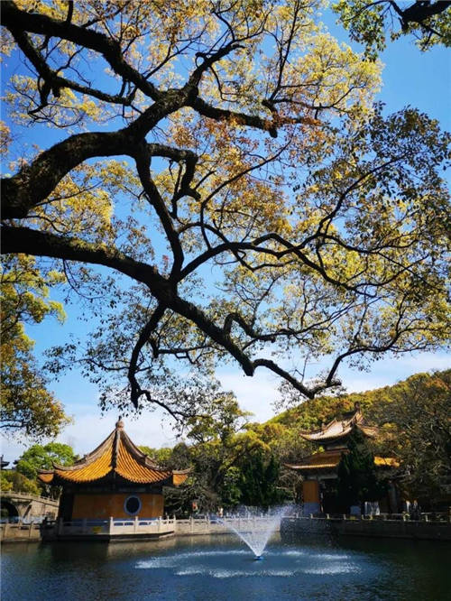 11月4日魏新與您相約普陀山，揭秘漢王朝兩大驚天預(yù)言