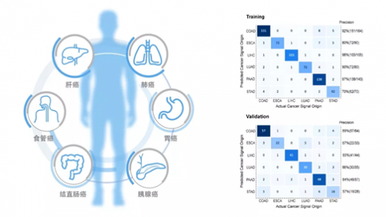 和瑞基因再拓癌癥早篩寬度，打造更貼合國內癌癥篩查市場的技術